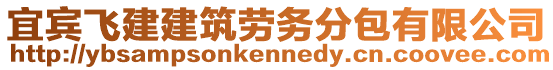 宜賓飛建建筑勞務(wù)分包有限公司