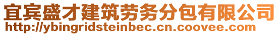 宜賓盛才建筑勞務(wù)分包有限公司