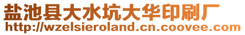 盐池县大水坑大华印刷厂