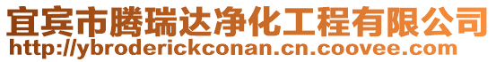 宜賓市騰瑞達凈化工程有限公司