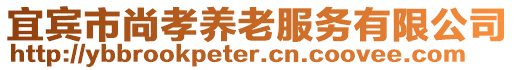 宜賓市尚孝養(yǎng)老服務(wù)有限公司