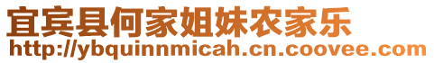 宜賓縣何家姐妹農(nóng)家樂