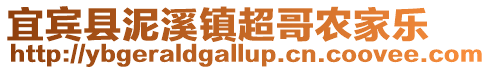 宜賓縣泥溪鎮超哥農家樂