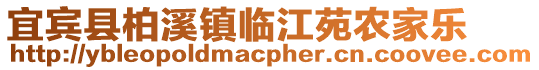 宜賓縣柏溪鎮臨江苑農家樂