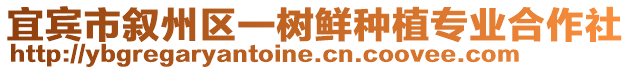 宜賓市敘州區(qū)一樹鮮種植專業(yè)合作社