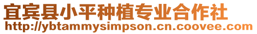宜賓縣小平種植專業合作社