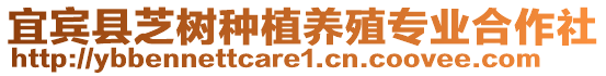 宜賓縣芝樹種植養(yǎng)殖專業(yè)合作社