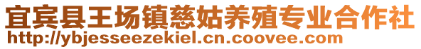 宜賓縣王場鎮(zhèn)慈姑養(yǎng)殖專業(yè)合作社