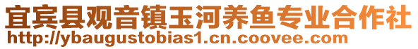 宜賓縣觀音鎮玉河養魚專業合作社
