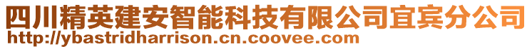 四川精英建安智能科技有限公司宜賓分公司