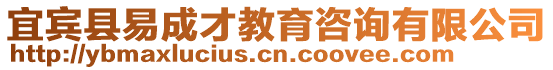 宜賓縣易成才教育咨詢有限公司