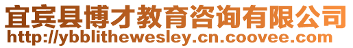 宜賓縣博才教育咨詢有限公司