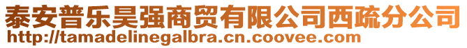 泰安普樂昊強(qiáng)商貿(mào)有限公司西疏分公司