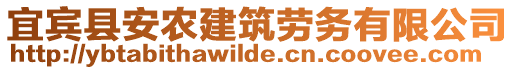 宜賓縣安農(nóng)建筑勞務(wù)有限公司