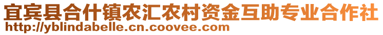 宜賓縣合什鎮(zhèn)農(nóng)匯農(nóng)村資金互助專業(yè)合作社