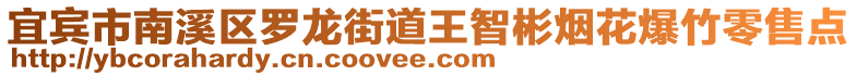 宜賓市南溪區(qū)羅龍街道王智彬煙花爆竹零售點