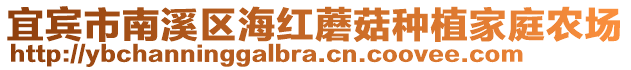 宜賓市南溪區海紅蘑菇種植家庭農場