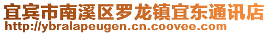 宜賓市南溪區(qū)羅龍鎮(zhèn)宜東通訊店