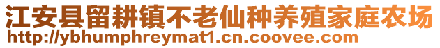 江安縣留耕鎮(zhèn)不老仙種養(yǎng)殖家庭農(nóng)場(chǎng)