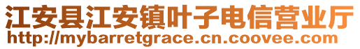 江安縣江安鎮(zhèn)葉子電信營(yíng)業(yè)廳