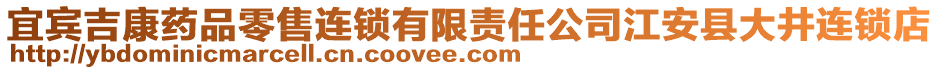 宜賓吉康藥品零售連鎖有限責任公司江安縣大井連鎖店