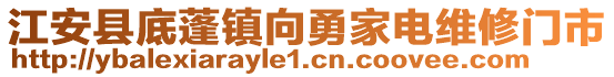 江安縣底蓬鎮(zhèn)向勇家電維修門市