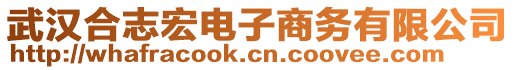 武漢合志宏電子商務(wù)有限公司