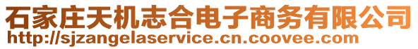 石家莊天機志合電子商務(wù)有限公司