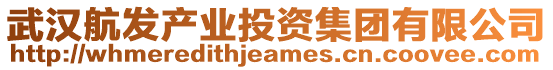 武漢航發(fā)產(chǎn)業(yè)投資集團有限公司