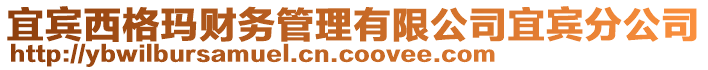 宜賓西格瑪財務(wù)管理有限公司宜賓分公司