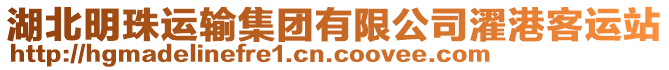 湖北明珠運(yùn)輸集團(tuán)有限公司濯港客運(yùn)站