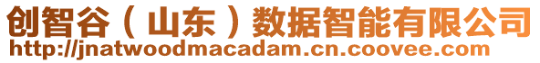 創(chuàng)智谷（山東）數(shù)據(jù)智能有限公司