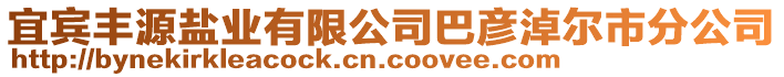 宜賓豐源鹽業(yè)有限公司巴彥淖爾市分公司