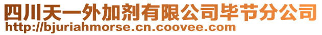 四川天一外加劑有限公司畢節(jié)分公司