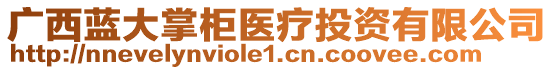 廣西藍(lán)大掌柜醫(yī)療投資有限公司