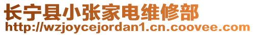 長(zhǎng)寧縣小張家電維修部