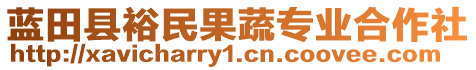 藍(lán)田縣裕民果蔬專業(yè)合作社