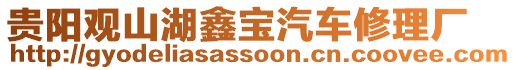 貴陽觀山湖鑫寶汽車修理廠