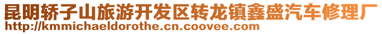 昆明轎子山旅游開(kāi)發(fā)區(qū)轉(zhuǎn)龍鎮(zhèn)鑫盛汽車(chē)修理廠