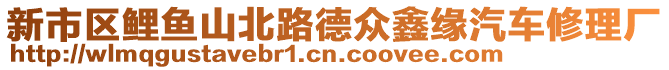 新市區(qū)鯉魚山北路德眾鑫緣汽車修理廠