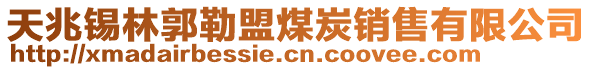 天兆錫林郭勒盟煤炭銷售有限公司