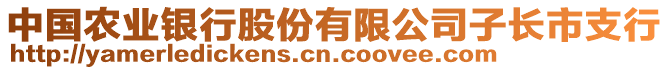 中國(guó)農(nóng)業(yè)銀行股份有限公司子長(zhǎng)市支行