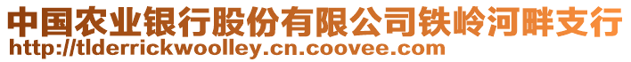 中國農(nóng)業(yè)銀行股份有限公司鐵嶺河畔支行