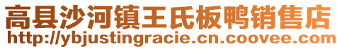 高縣沙河鎮(zhèn)王氏板鴨銷售店