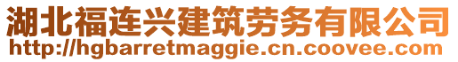 湖北福連興建筑勞務(wù)有限公司