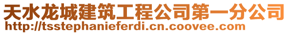 天水龍城建筑工程公司第一分公司