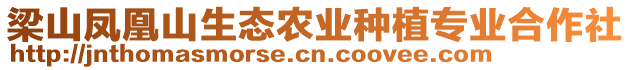 梁山鳳凰山生態(tài)農(nóng)業(yè)種植專業(yè)合作社