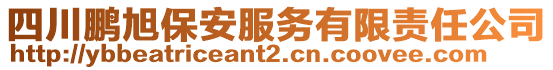 四川鵬旭保安服務(wù)有限責(zé)任公司