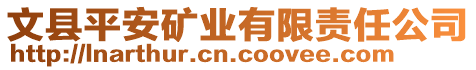 文縣平安礦業(yè)有限責(zé)任公司