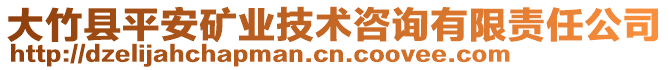 大竹縣平安礦業(yè)技術(shù)咨詢有限責任公司